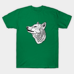 Wolf - ink illustration T-Shirt